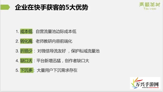 深度解析，香蕉视频网址的获取与使用方法，一篇文章帮你全面掌握