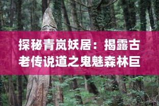 探秘青岚妖居：揭露古老传说道之鬼魅森林巨兽的神秘居所和不为人知的隐秘故事