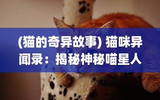 (猫的奇异故事) 猫咪异闻录：揭秘神秘喵星人的生活习性与聪明才智的小故事