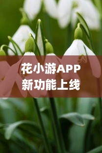 花小游APP新功能上线 揭秘如何高效管理花草，让爱花人士轻松养花。