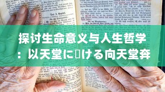 探讨生命意义与人生哲学：以天堂に駆ける向天堂奔去 歌词为视角的深度解析与思考 v8.1.6下载