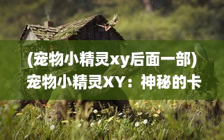 (宠物小精灵xy后面一部) 宠物小精灵XY：神秘的卡洛斯地区和众多新奇精灵的冒险旅程