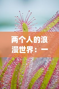 两个人的浪漫世界：一起拔萝卜，一起欢笑，共创属于我们的甜蜜生活与猴子