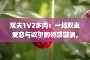 双夫1V2多肉：一场双重爱恋与欲望的诱惑漩涡，让人欲罢不能的情感纠葛