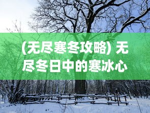 (无尽寒冬攻略) 无尽冬日中的寒冰心语：寻找生命中抵挡严寒的内在温度