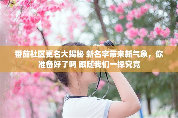 番茄社区更名大揭秘 新名字带来新气象，你准备好了吗 跟随我们一探究竟