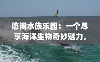 悠闲水族乐园：一个尽享海洋生物奇妙魅力，感受寓教于乐的全新休闲旅游去处