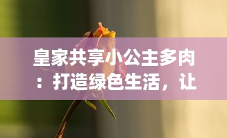 皇家共享小公主多肉：打造绿色生活，让城市角落水儿润，无处不显生机