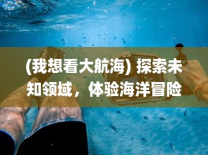 (我想看大航海) 探索未知领域，体验海洋冒险：大航海HD 带你揭秘历史航海秘闻