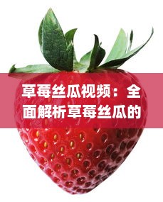 草莓丝瓜视频：全面解析草莓丝瓜的种植技术与实用养护知识 v4.8.3下载