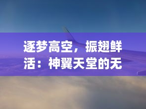 逐梦高空，振翅鲜活：神翼天堂的无尽追求和心动冒险之旅