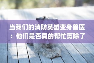 当我们的消防英雄变身兽医：他们是否真的帮忙剪除了狗狗身上的毛发 v2.7.4下载