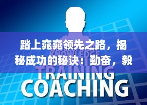 踏上窕窕领先之路，揭秘成功的秘诀：勤奋，毅力与创新驱动力量 v5.5.4下载