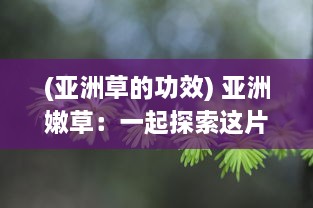 (亚洲草的功效) 亚洲嫩草：一起探索这片绿色生机勃勃、充满活力的未知领域