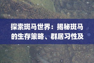 探索斑马世界：揭秘斑马的生存策略、群居习性及其在生态环境中的重要作用