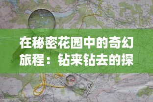 在秘密花园中的奇幻旅程：钻来钻去的探索未知世界之一趣味之旅 v9.6.0下载