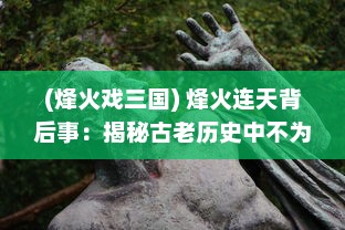 (烽火戏三国) 烽火连天背后事：揭秘古老历史中不为人知的格斗三国真实内幕