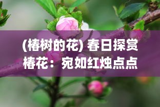 (椿树的花) 春日探赏椿花：宛如红烛点点，描绘出生命的讴歌与繁华盛景