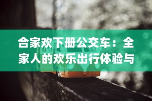 合家欢下册公交车：全家人的欢乐出行体验与感人亲情故事的深度解读