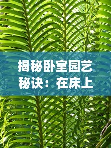 揭秘卧室园艺秘诀：在床上的72种扦插方法，让你的植物生长更茂盛 v6.0.0下载