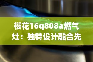 樱花16q808a燃气灶：独特设计融合先进科技，让烹饪过程更加便捷流畅 v9.8.3下载