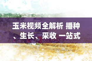 玉米视频全解析 播种、生长、采收 一站式探秘玉米的奇妙旅程，带你领略农业的魅力