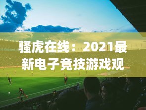 骚虎在线：2021最新电子竞技游戏观战平台，实时观看全球顶级赛事直播 v0.6.8下载