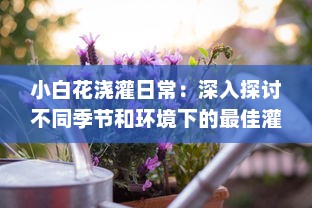 小白花浇灌日常：深入探讨不同季节和环境下的最佳灌溉方法和技巧 v5.0.6下载