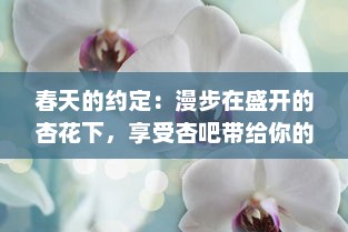 春天的约定：漫步在盛开的杏花下，享受杏吧带给你的浪漫与甜蜜