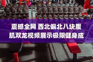 震撼全网 西北偏北八块腹肌双龙视频展示极限健身成果，强壮肌肉令人惊叹