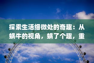 探索生活细微处的奇趣：从蜗牛的视角，蜗了个趣，重新认识这个世界