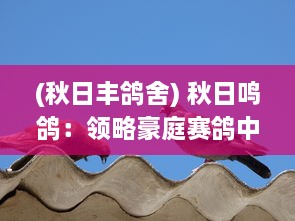 (秋日丰鸽舍) 秋日鸣鸽：领略豪庭赛鸽中心秋棚大棚里的鸽鸣斗艳盛况