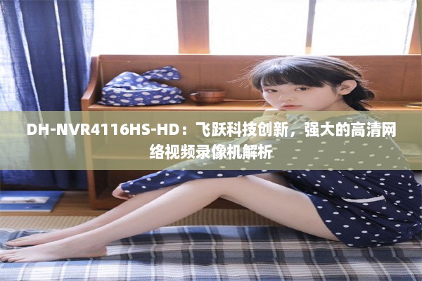 DH-NVR4116HS-HD：飞跃科技创新，强大的高清网络视频录像机解析