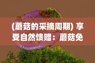 (蘑菇的采摘周期) 享受自然馈赠：蘑菇免费采摘活动，体验亲近大自然的乐趣