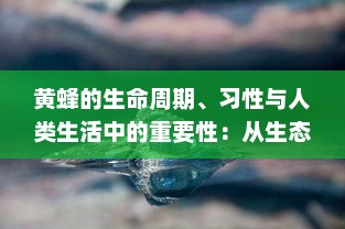 黄蜂的生命周期、习性与人类生活中的重要性：从生态平衡到环境保护的一种全新视角