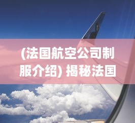 (法国航空公司制服介绍) 揭秘法国航空业的魅力：空乘工作的挑战与乐趣