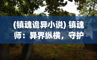 (镇魂诡异小说) 镇魂师：异界纵横，守护生灵，驱逐幽冥的神秘英雄之旅