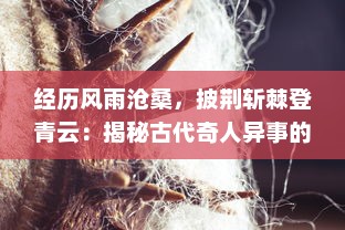 经历风雨沧桑，披荆斩棘登青云：揭秘古代奇人异事的神秘经历-青云传