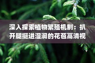 深入探索植物繁殖机制：扒开腿挺进湿润的花苞高清视频展示