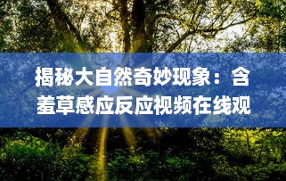 揭秘大自然奇妙现象：含羞草感应反应视频在线观看及科学原理解析 v4.6.1下载