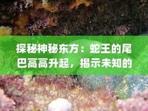 探秘神秘东方：蛇王的尾巴高高升起，揭示未知的动物世界奥秘 v3.2.8下载