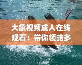 大象视频成人在线观看：带你领略多元化娱乐新体验，探索丰富多彩的成人教育视界 v2.8.5下载