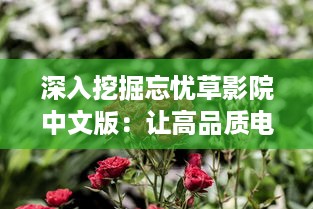 深入挖掘忘忧草影院中文版：让高品质电影文化与国人心灵深处的情感触动相融合 v1.5.5下载