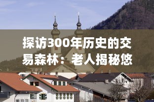 探访300年历史的交易森林：老人揭秘悠久的林业贸易传统 v8.9.7下载