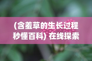 (含羞草的生长过程秒懂百科) 在线探索自然神秘：含羞草的生长过程与科学解读