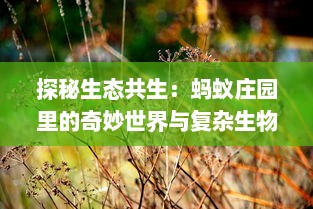 探秘生态共生：蚂蚁庄园里的奇妙世界与复杂生物关系