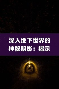 深入地下世界的神秘阴影：揭示那些被称为'代号隐'的秘密特工的真实生涯