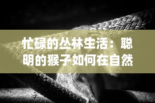 忙碌的丛林生活：聪明的猴子如何在自然与生存竞争中保持不停歇