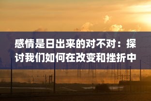 感情是日出来的对不对：探讨我们如何在改变和挫折中品味心灵的黎明