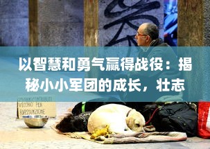 以智慧和勇气赢得战役：揭秘小小军团的成长，壮志与团结的故事